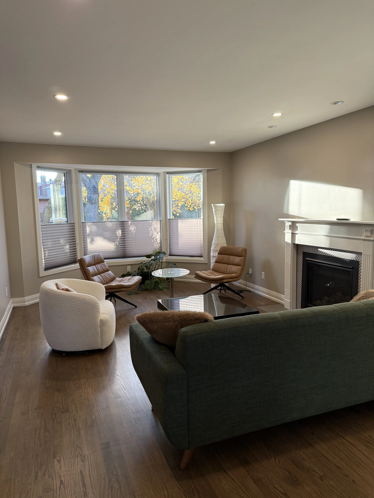 Living Room & Fireplace